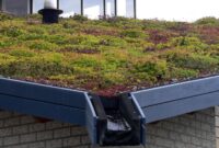 how to build a green roof Roof green build own garden dzine za