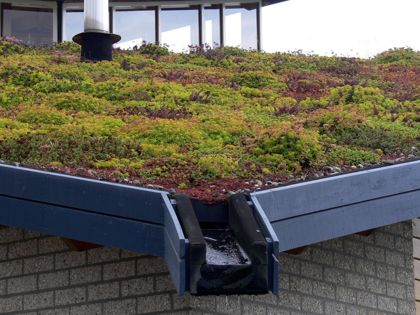 how to build a green roof Roof green build own garden dzine za