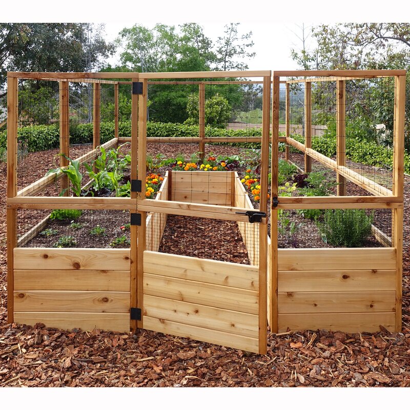 raised garden bed with deer fence 8ft 12ft