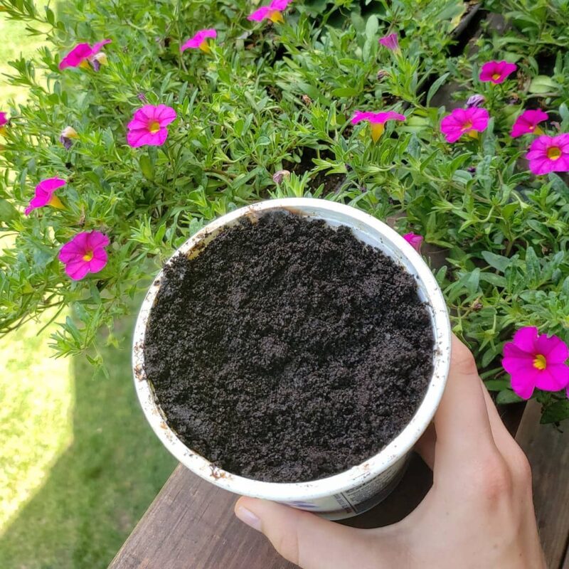 using coffee grounds in the garden Gardeningsoul mulch controlling weeds keeping