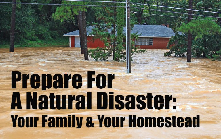 Prepare For A Natural Disaster - Your Family And Your Homestead - The