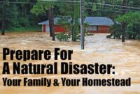 how to prepare for a natural disaster How to prepare for a natural disaster #infographic