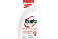 roundup weed grass killer super concentrate Roundup rtu trigger