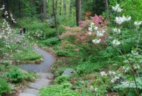 native plants for new england gardens Spring-blooming native plants for new england shade gardens