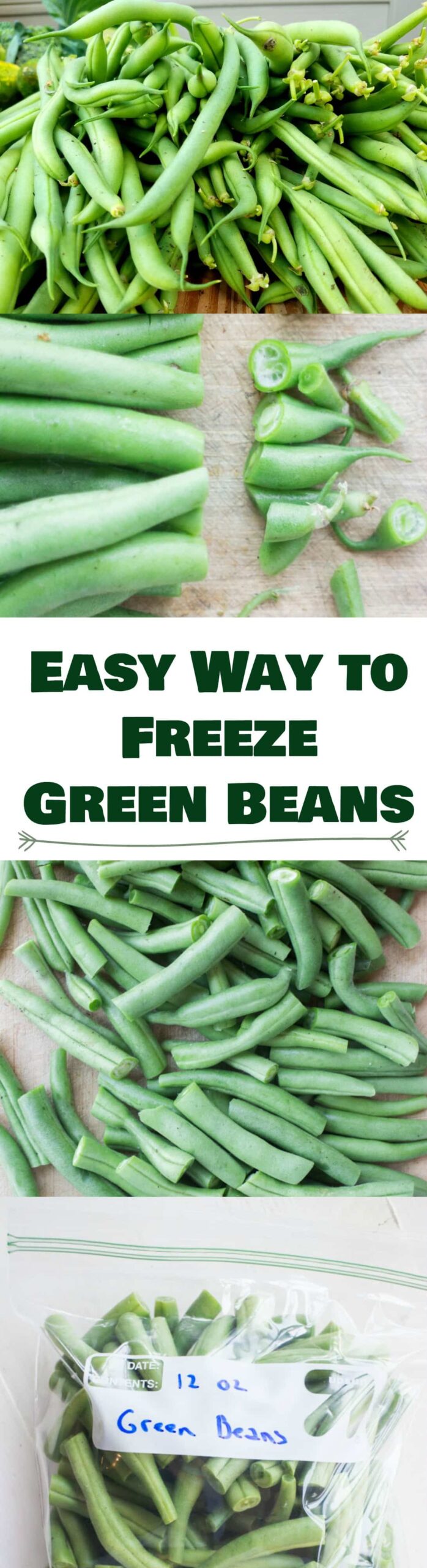 how to freeze fresh green beans How to preserve green beans