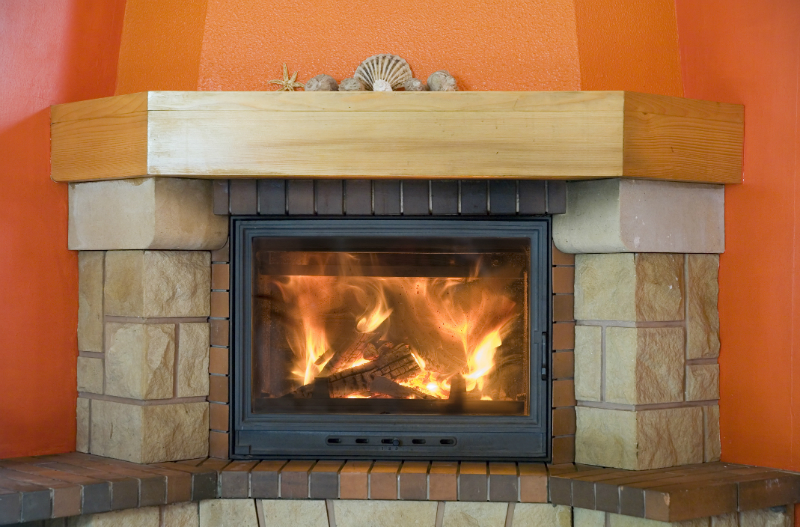 Wood Burning Fireplace Inserts Fireplace wood burning stove insert certified 2200i epa medium amazon