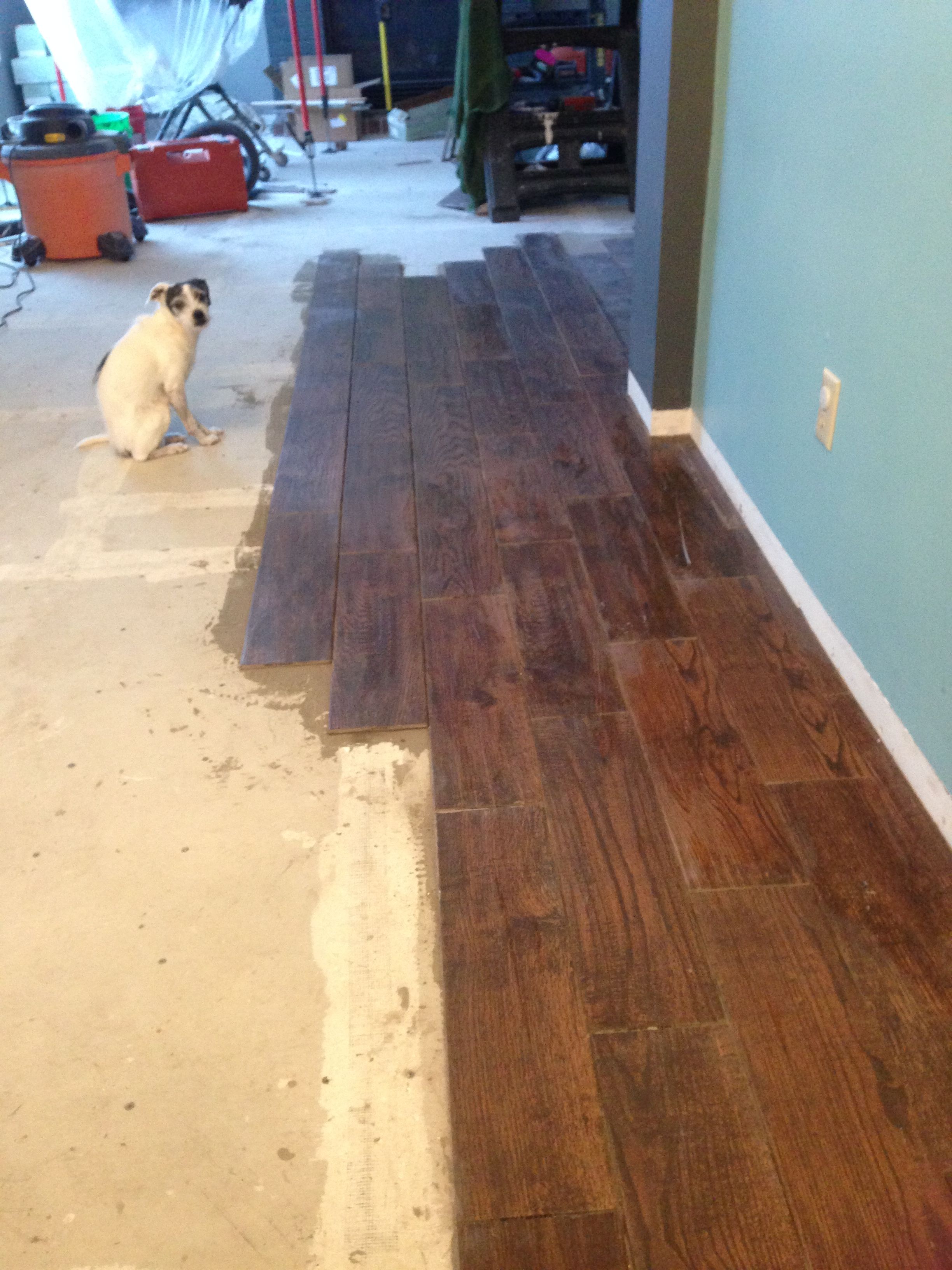 Ceramic tile that looks like hardwood floor - and Bruno! | House