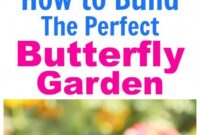 how to build a butterfly garden How to build a butterfly garden- it's really easy to start a butterfly