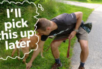 how do you put a dog down How to choose the best place for your dog to poop on a walk – babelbark