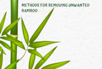 how to get rid of bamboo Pin on control bamboo