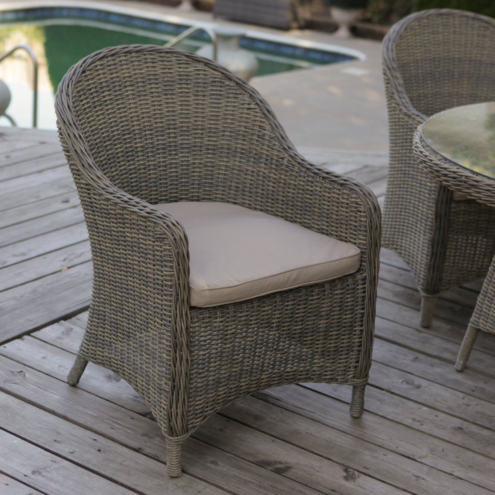 Mingle All-Weather Wicker Patio Dining Chair - Set of 2 | Outdoor