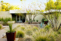 front yard desert landscape ideas Az front yard desert landscape design