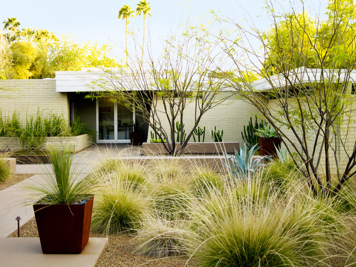 front yard desert landscape ideas Az front yard desert landscape design